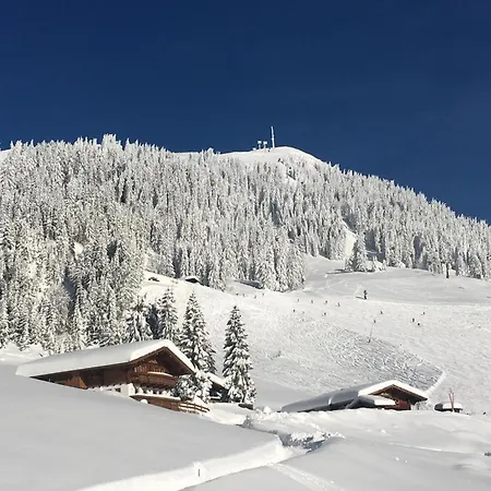 21a Apartament Hopfgarten im Brixental